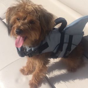 Meet your Posher, Fahmi